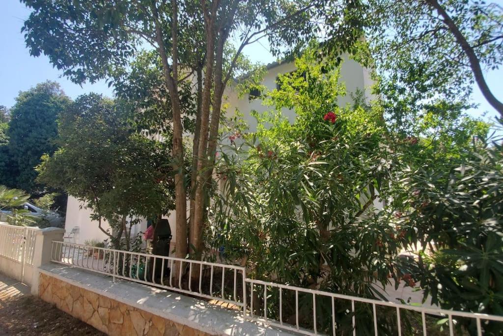 Casa Blanca, Biograd Na Moru 아파트 외부 사진