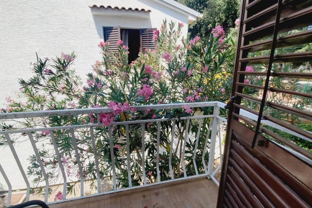 Casa Blanca, Biograd Na Moru 아파트 외부 사진