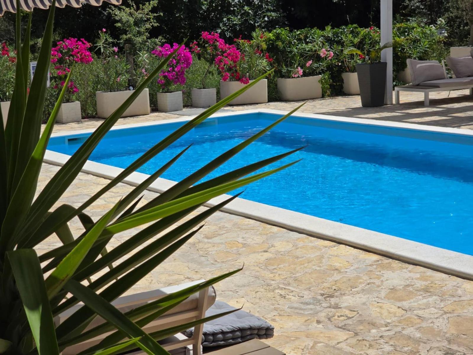 Casa Blanca, Biograd Na Moru 아파트 외부 사진
